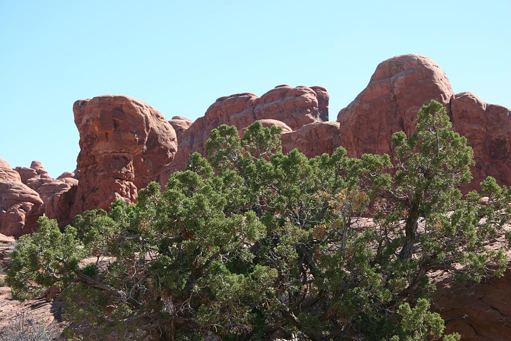 Arches Picture