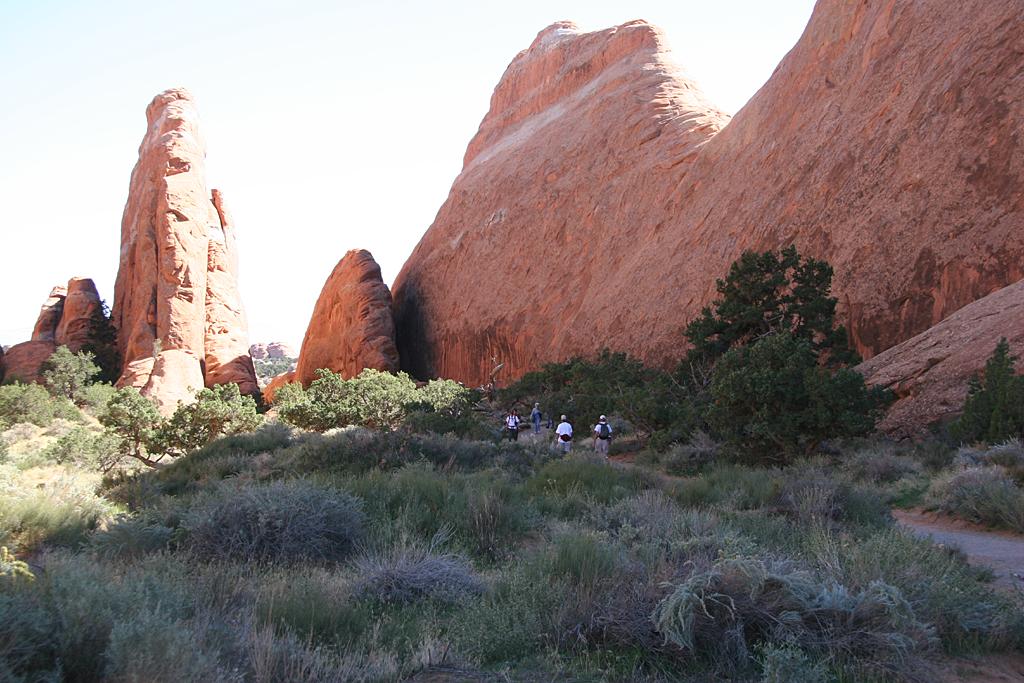Arches Picture