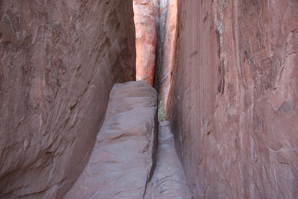 Arches Picture