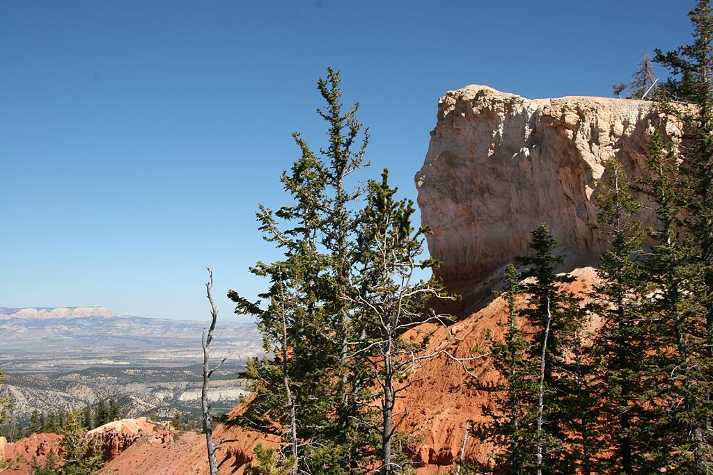 Bryce Picture