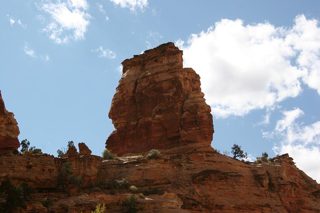 CapitolReef Picture