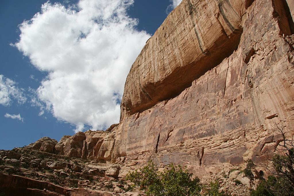 CapitolReef Picture