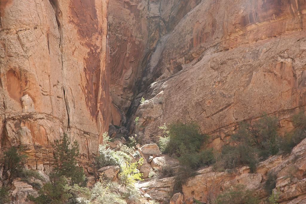 CapitolReef Picture
