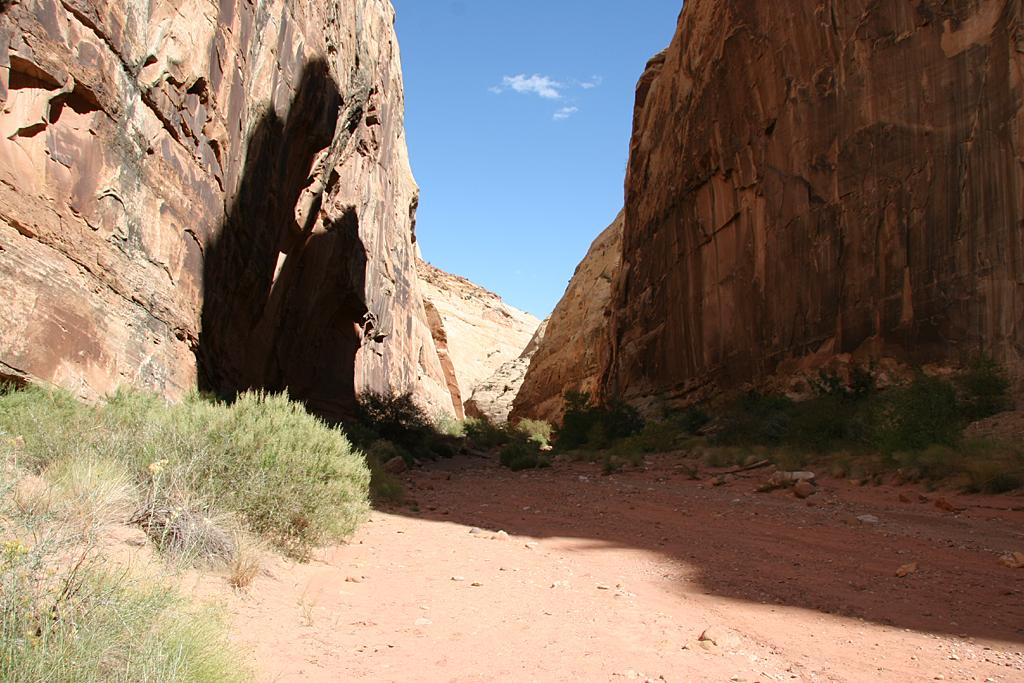 CapitolReef Picture