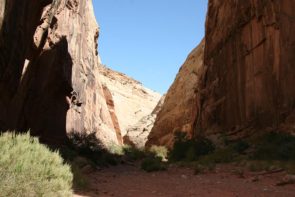 CapitolReef Picture