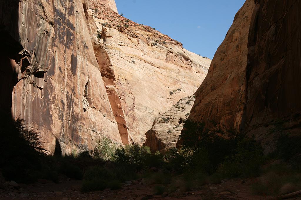 CapitolReef Picture