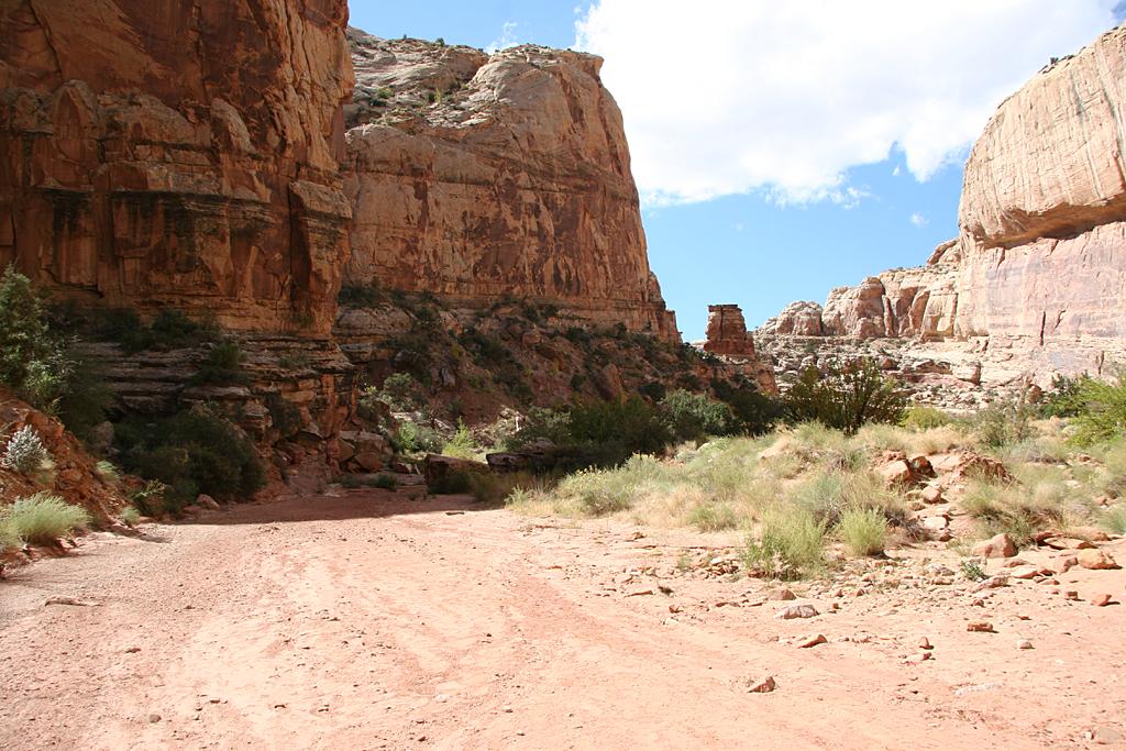 CapitolReef Picture