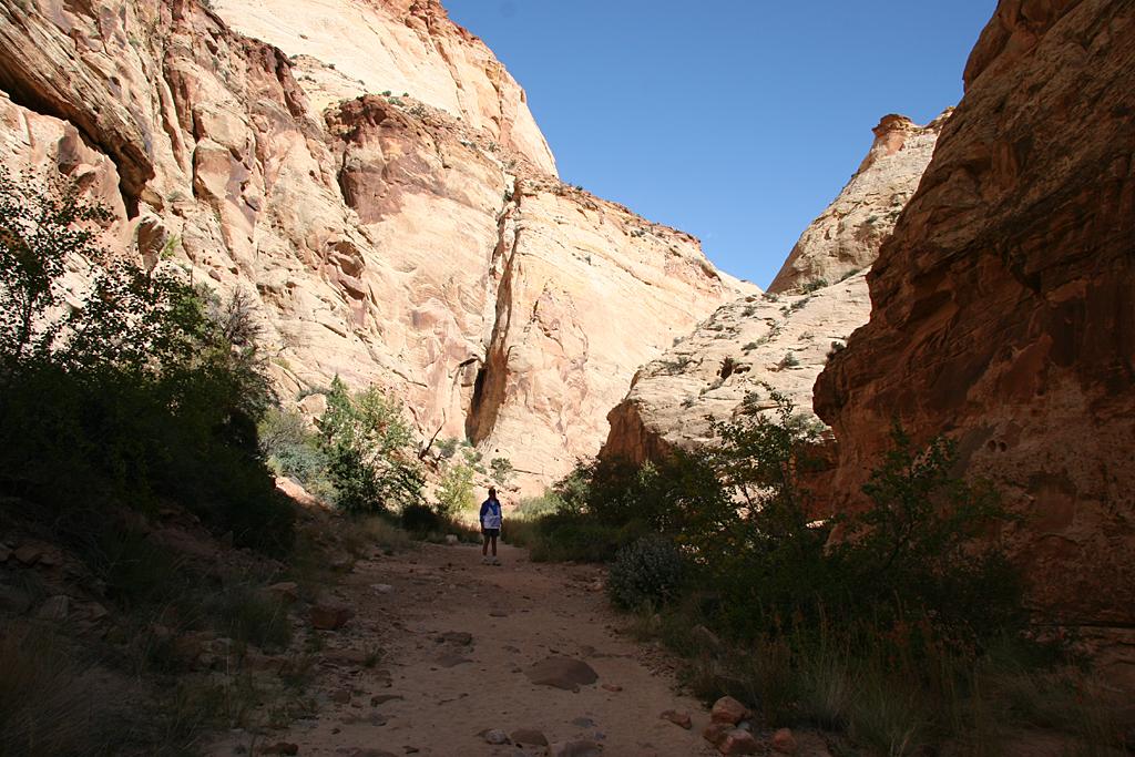 CapitolReef Picture