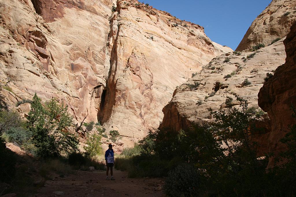 CapitolReef Picture