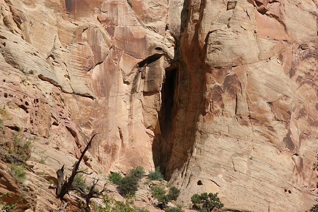 CapitolReef Picture