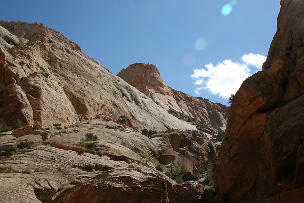 CapitolReef Picture