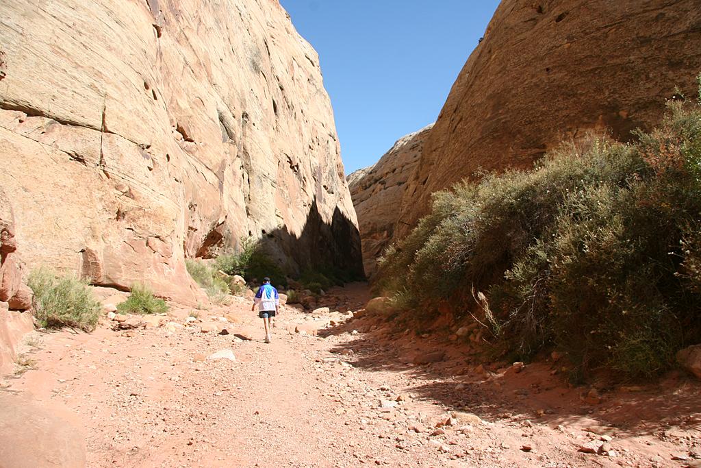 CapitolReef Picture
