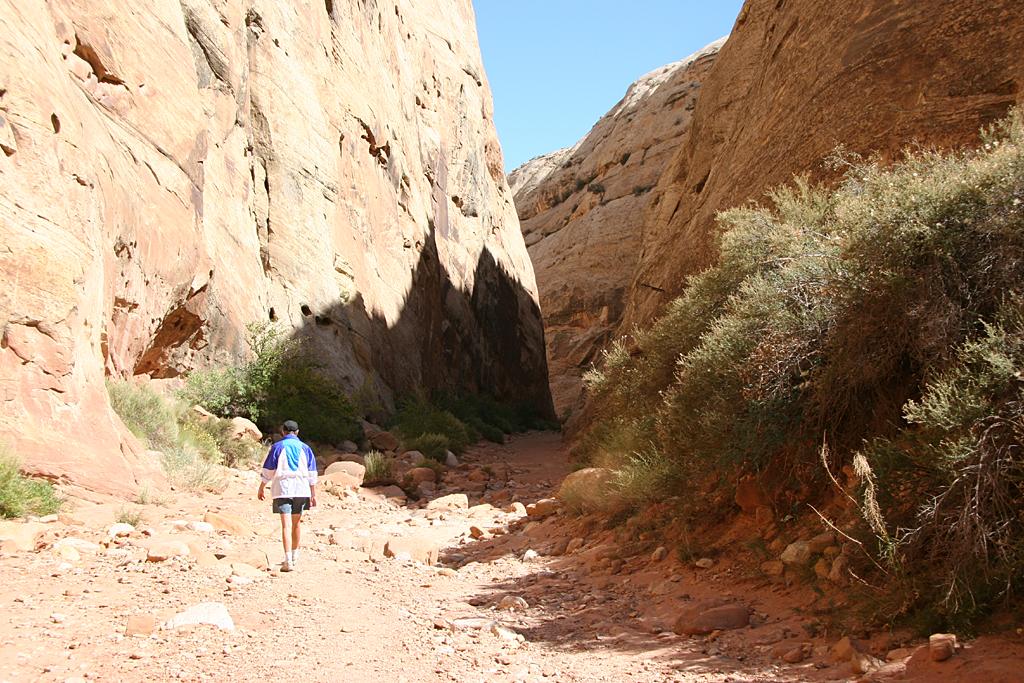 CapitolReef Picture