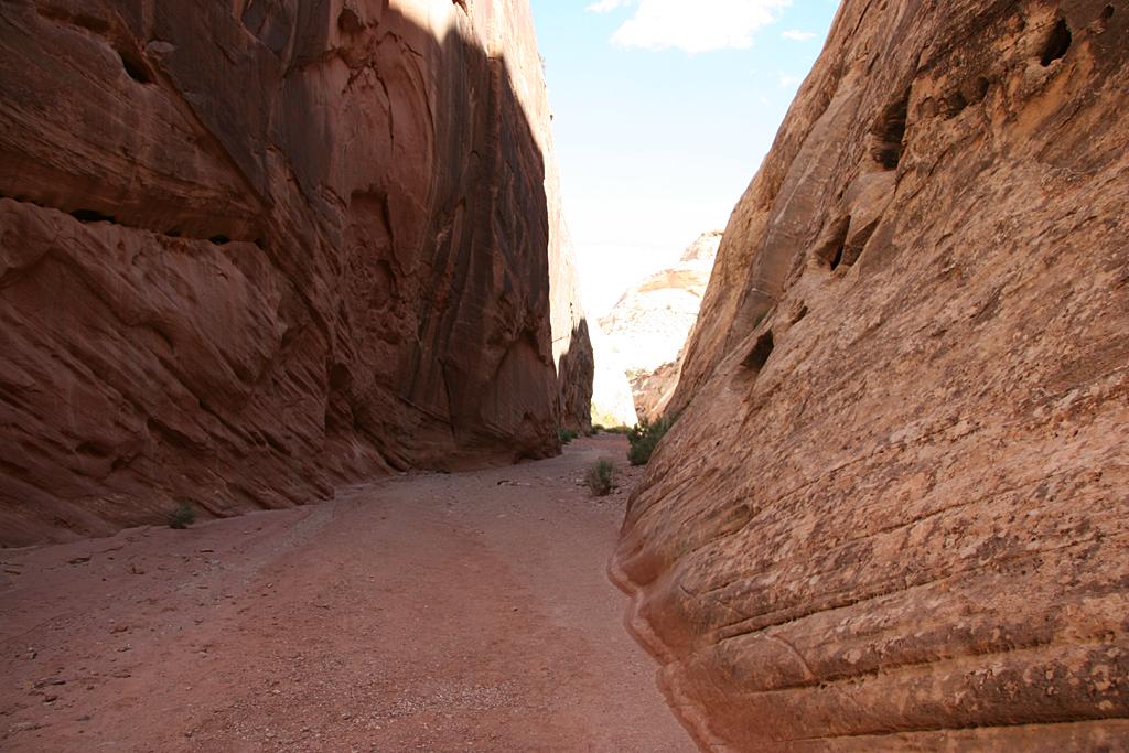 CapitolReef Picture