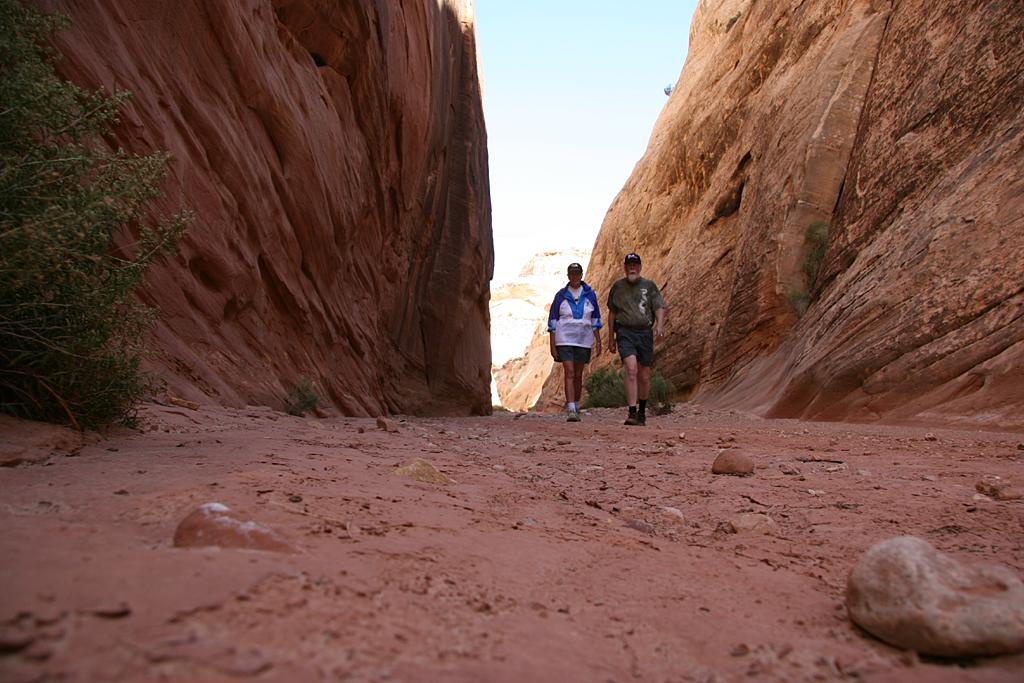 CapitolReef Picture