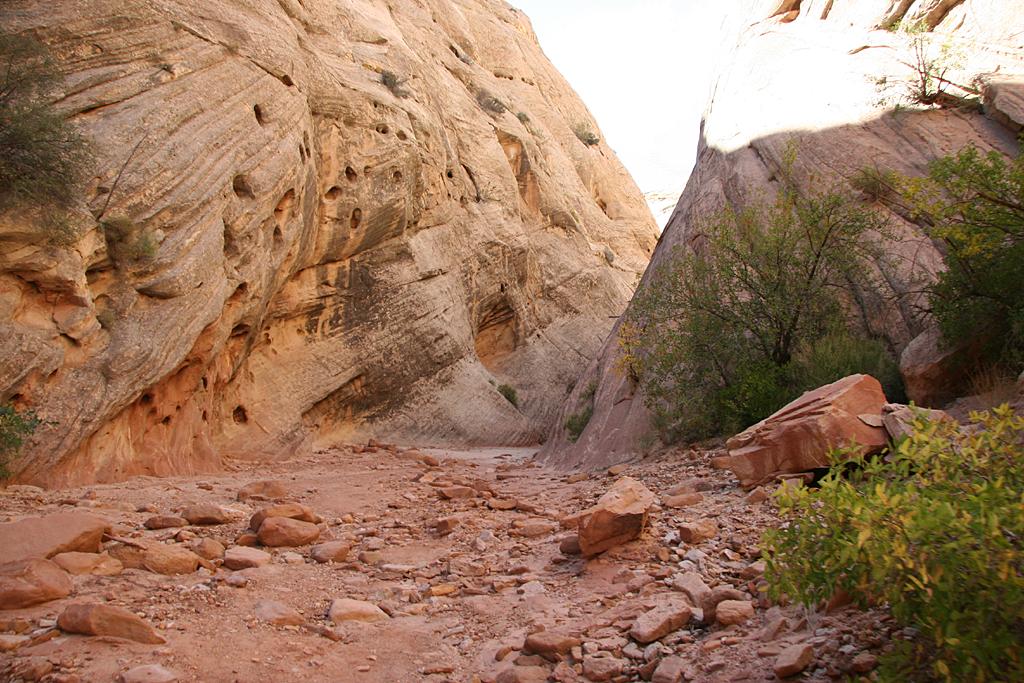CapitolReef Picture