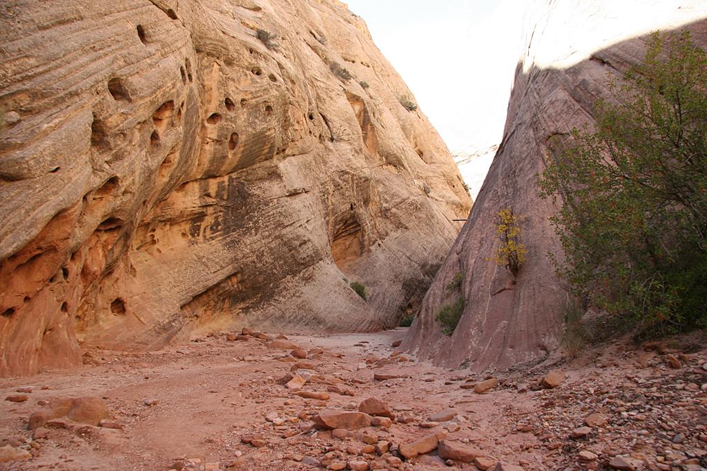 CapitolReef Picture