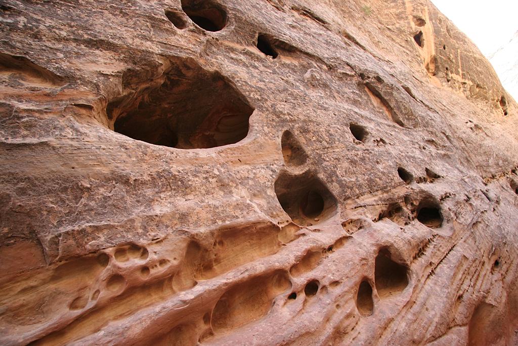 CapitolReef Picture