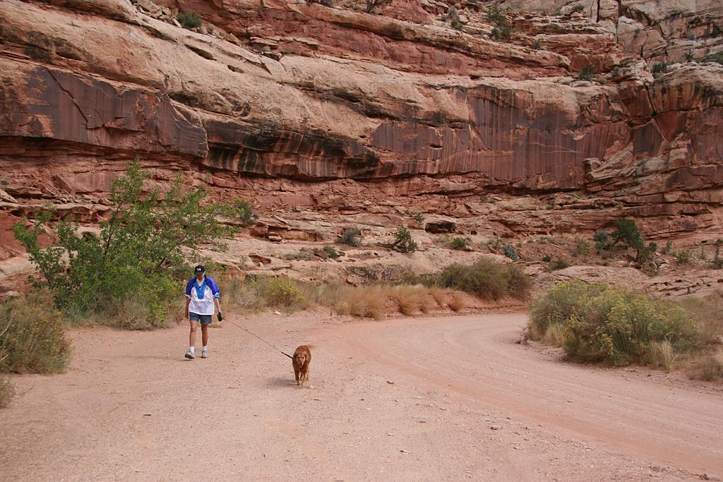 CapitolReef Picture
