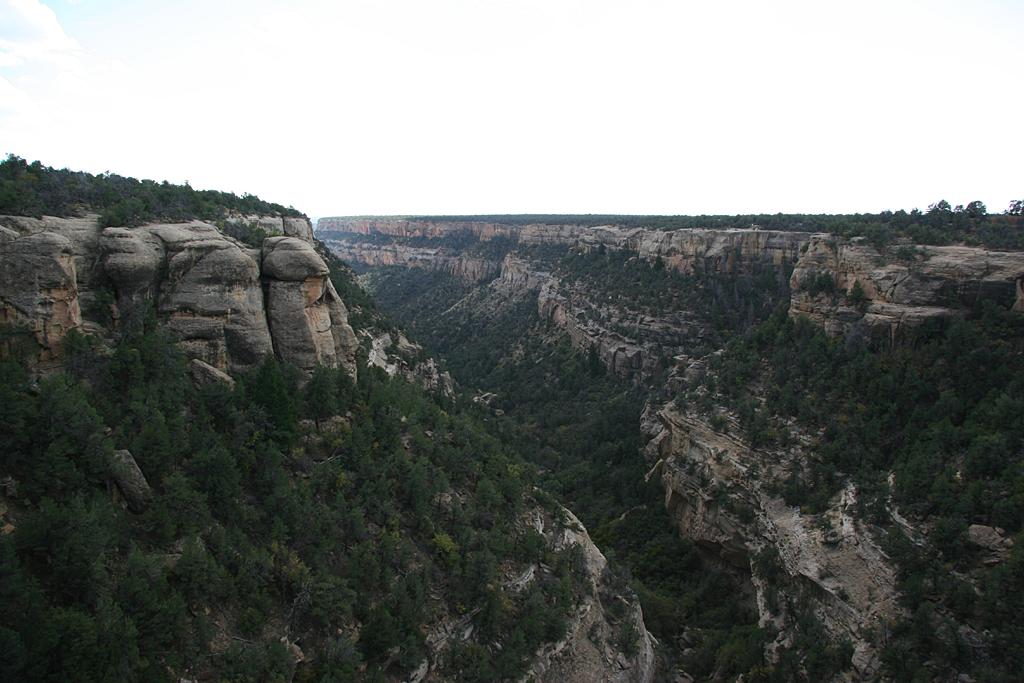 MesaVerde Picture