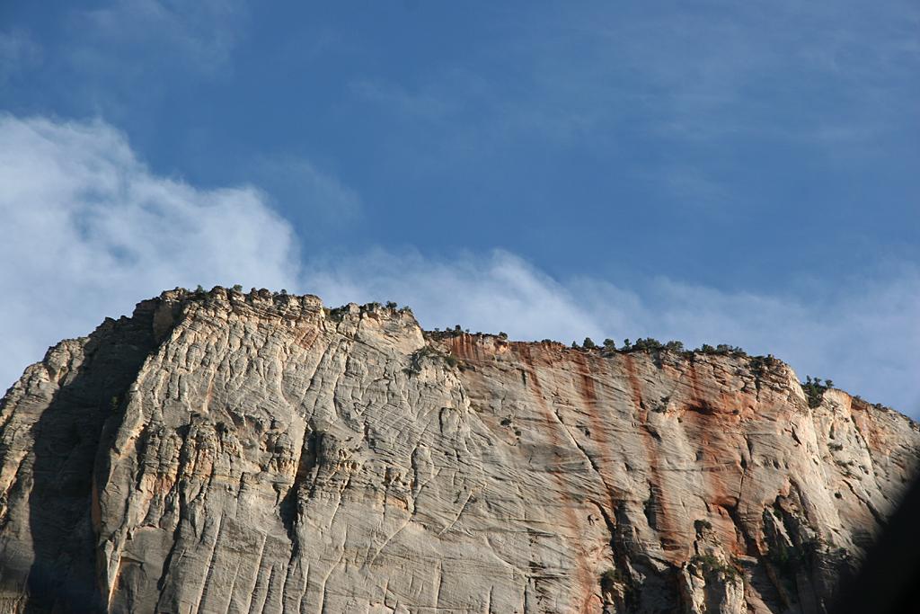 Zion Picture
