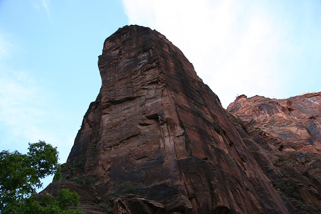 Zion Picture