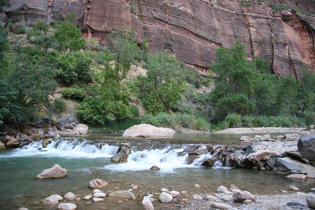 Zion Picture
