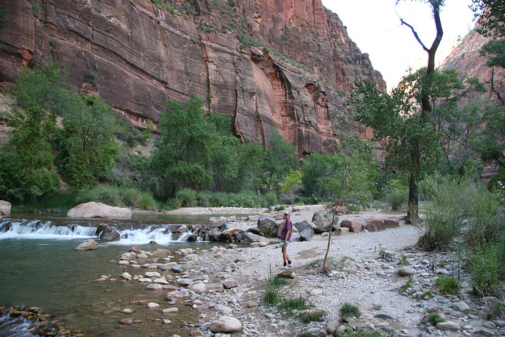 Zion Picture