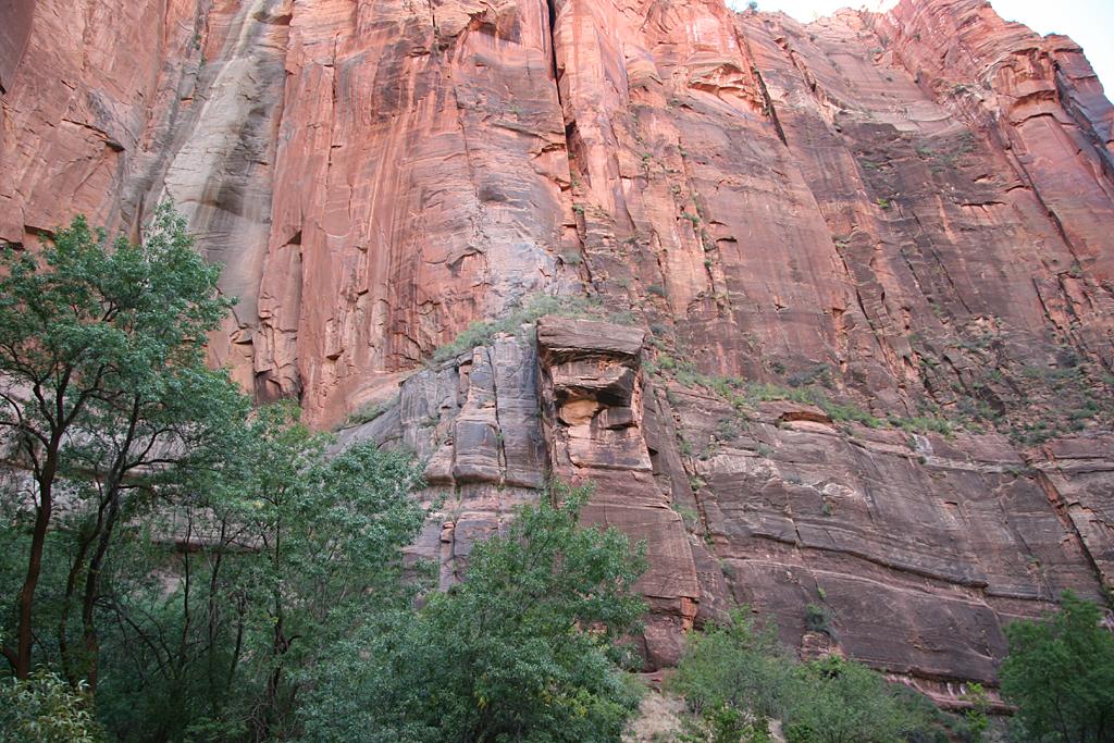 Zion Picture