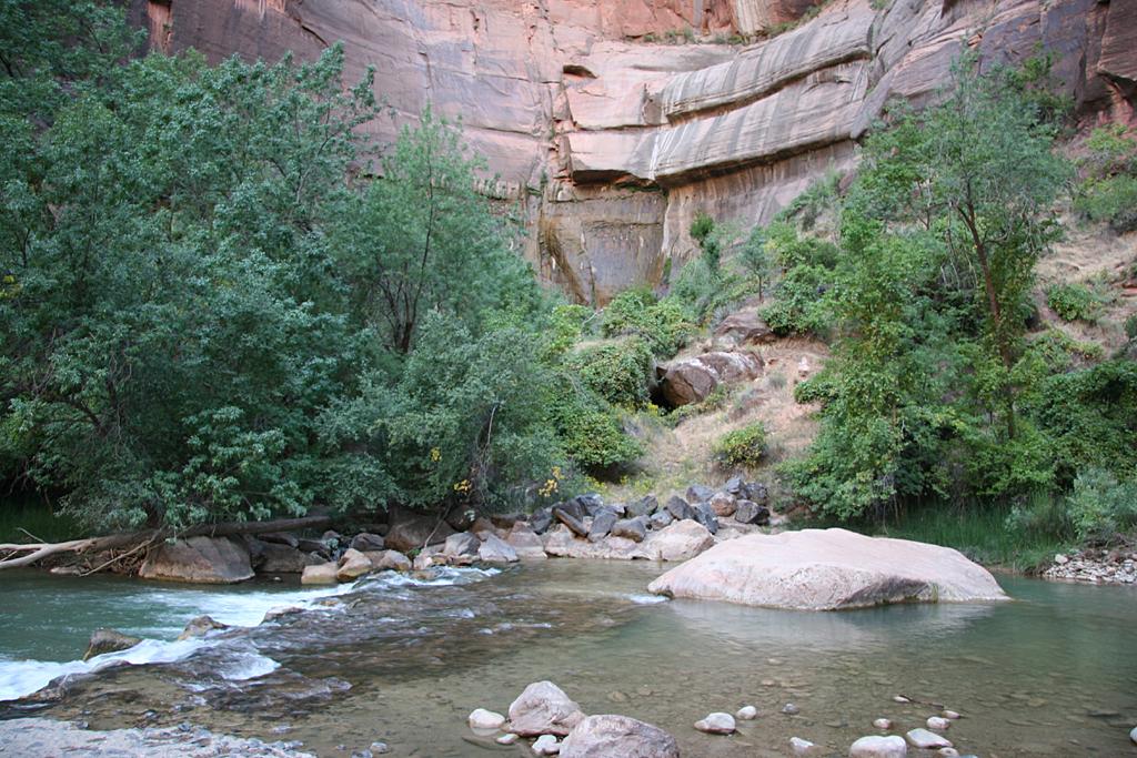 Zion Picture