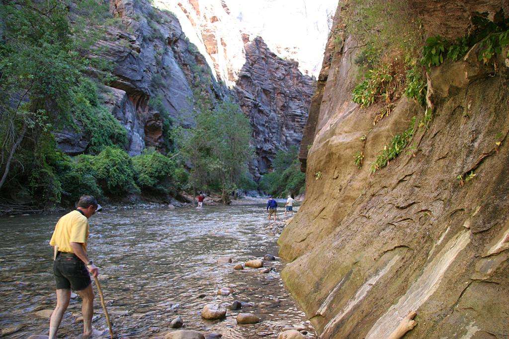 Zion Picture