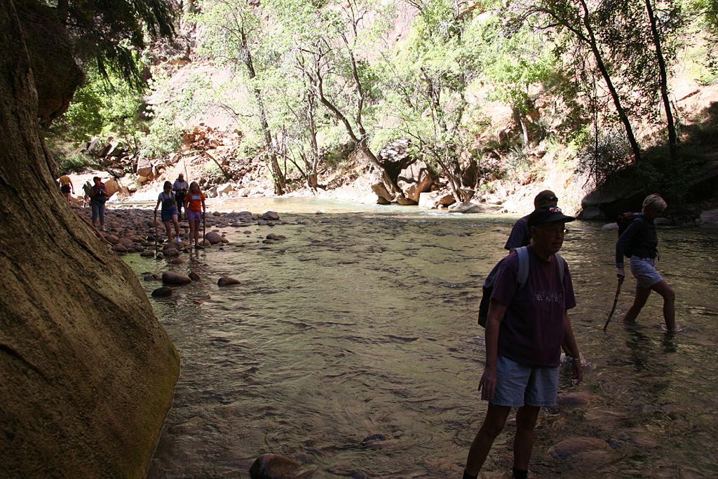 Zion Picture