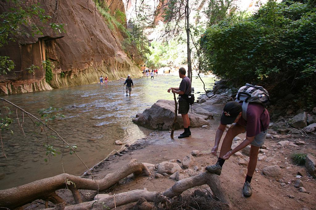 Zion Picture
