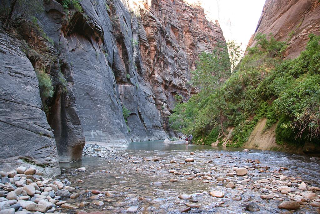 Zion Picture