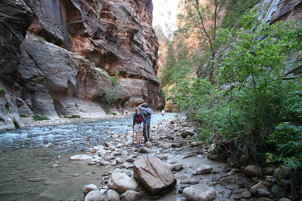 Zion Picture