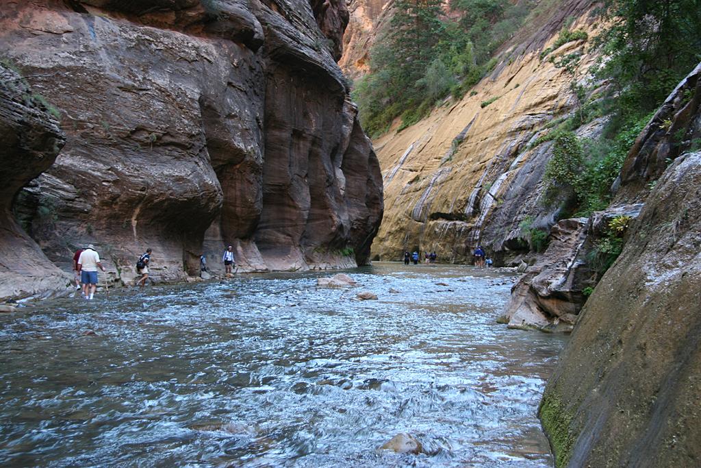 Zion Picture