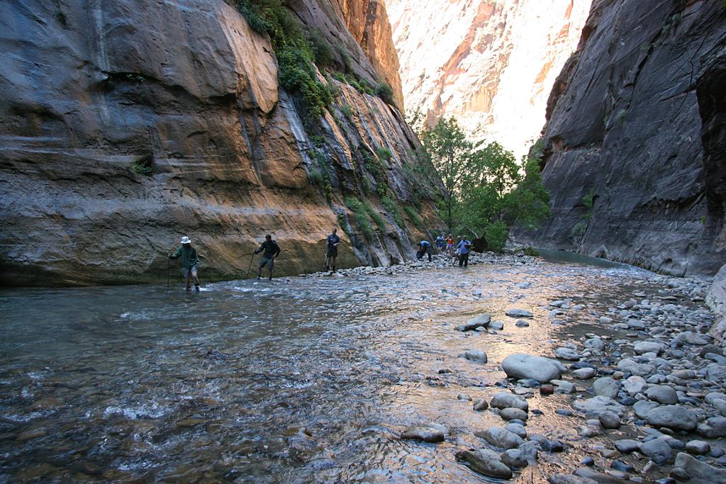 Zion Picture