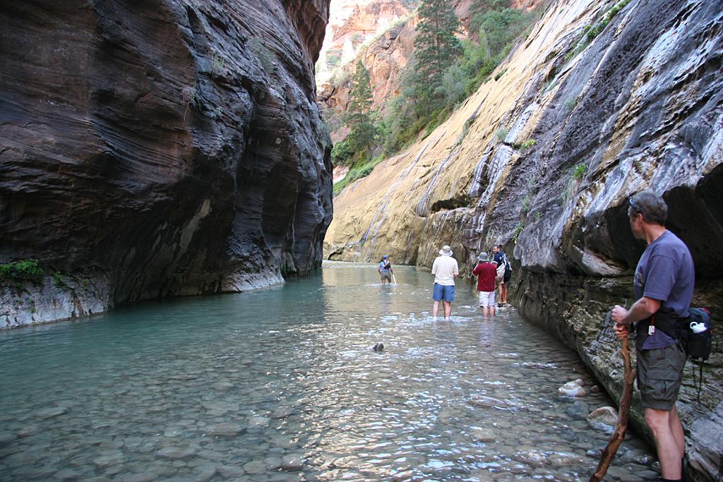 Zion Picture