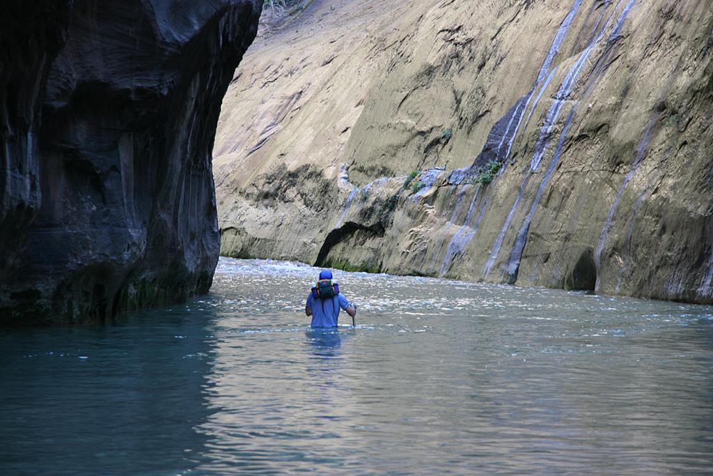 Zion Picture