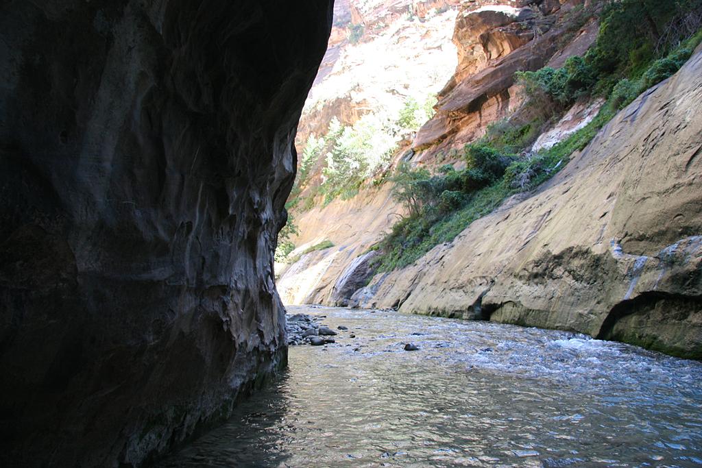 Zion Picture