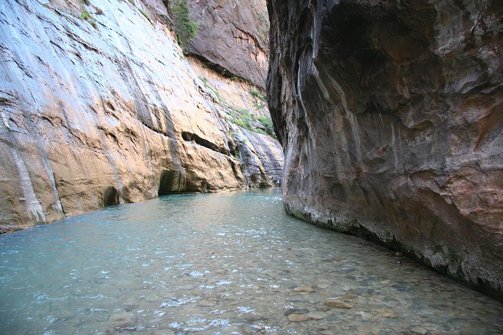 Zion Picture