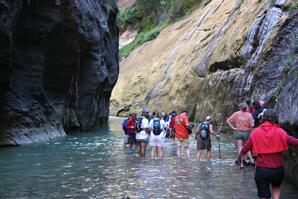 Zion Picture