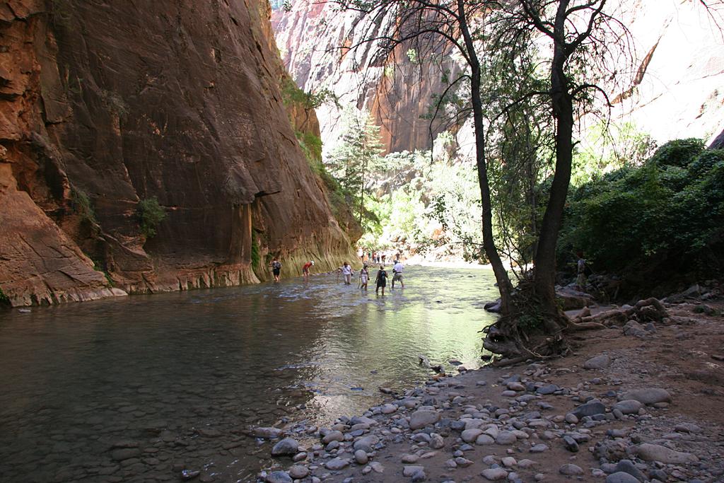 Zion Picture