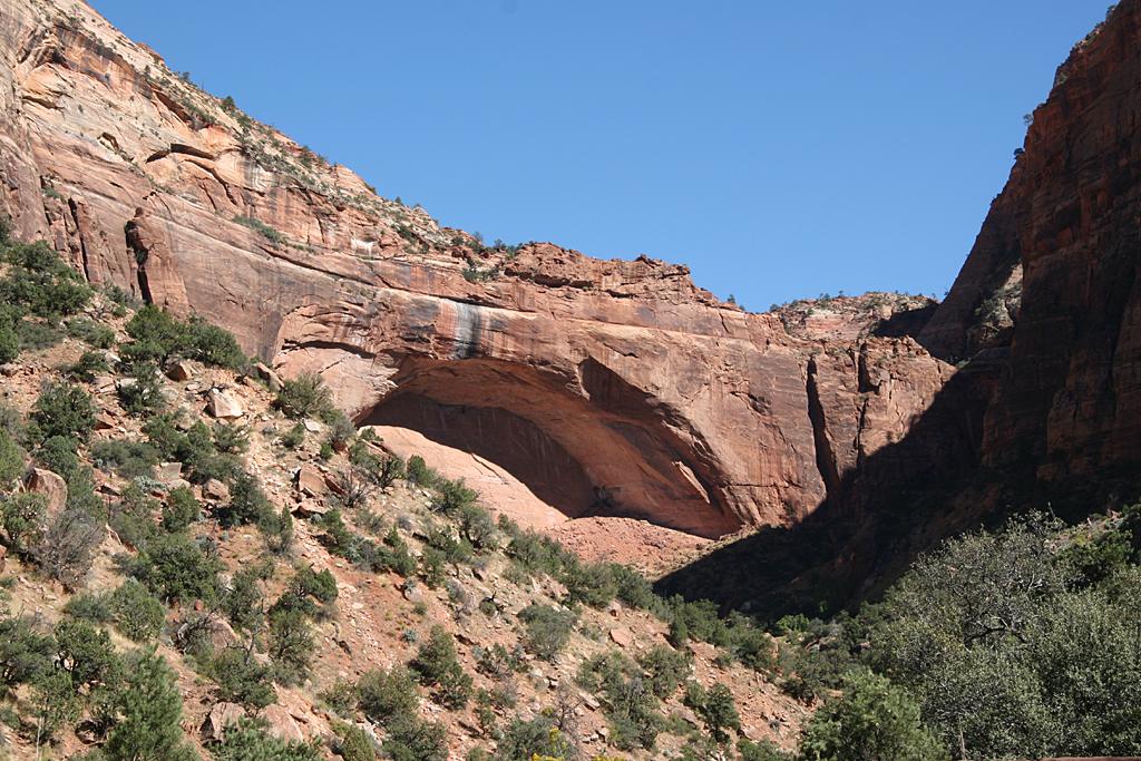 Zion Picture