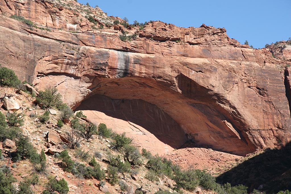 Zion Picture