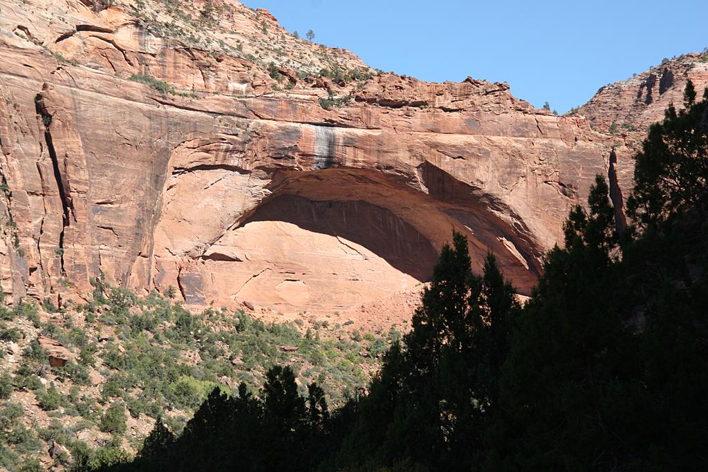 Zion Picture