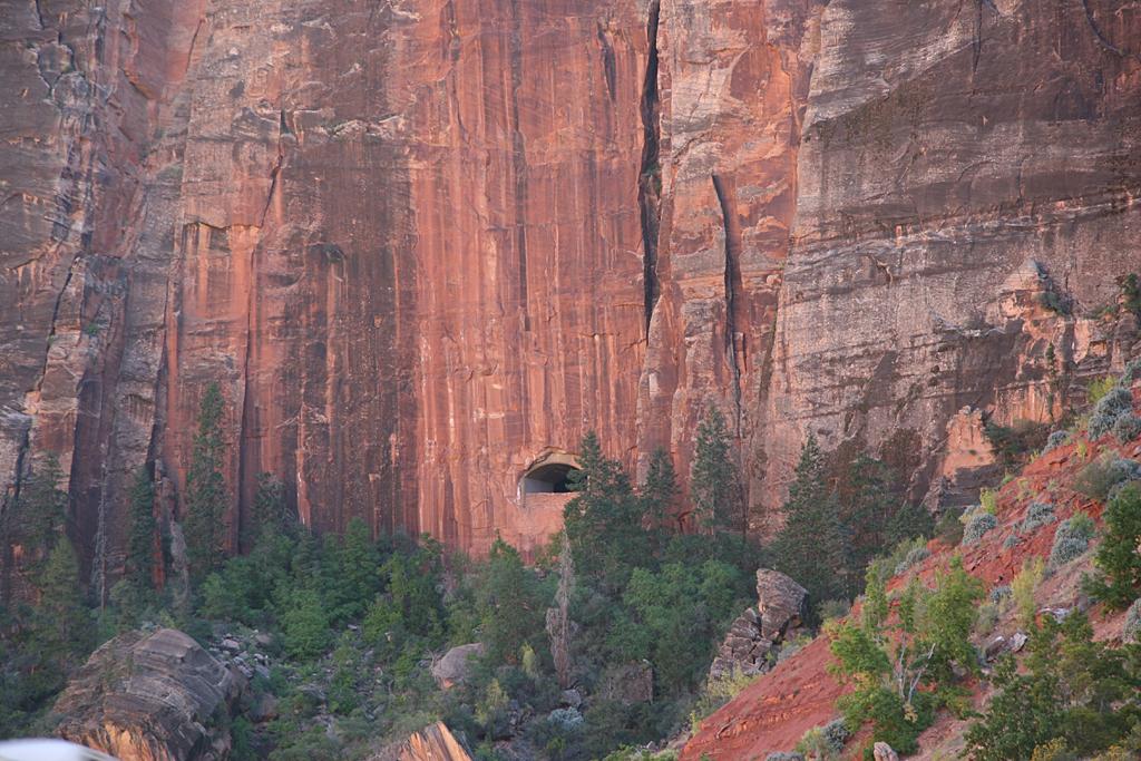 Zion Picture