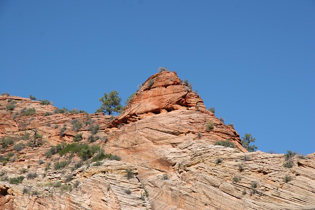 Zion Picture