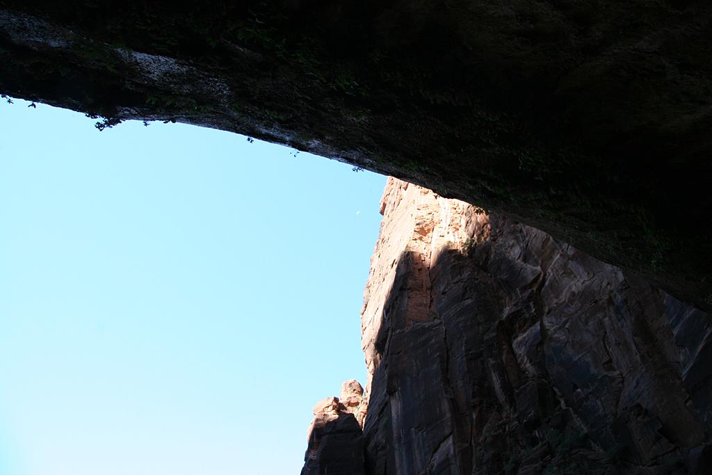 Zion Picture