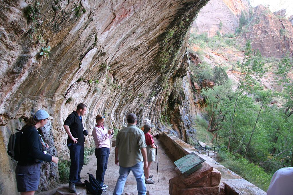 Zion Picture